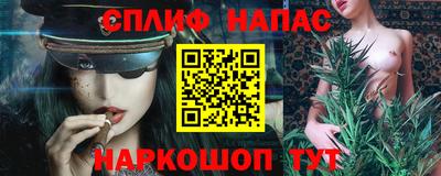 прущие грибы Дубна