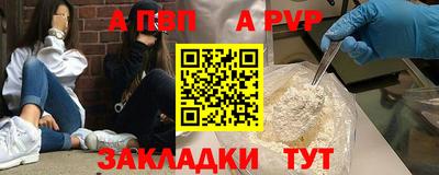 спиды Донской