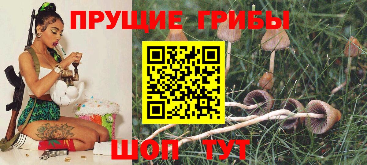 Лабытнанги  Псилоцибиновые грибы Psilocybe  Галлюциногенные грибы ЛСД  Вход с VPN 